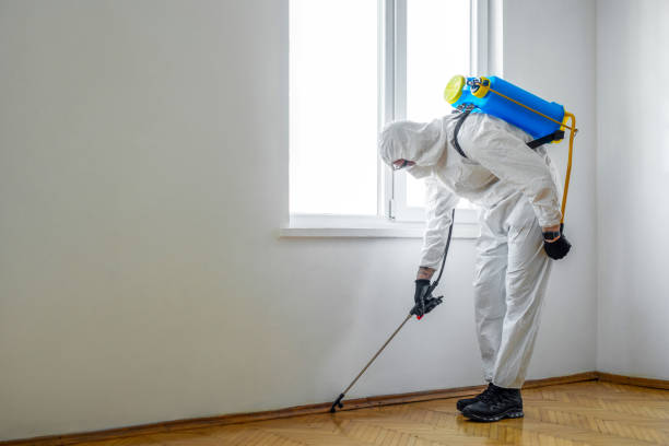 Best Rat Extermination Near Me  in Cedar Grove, WI