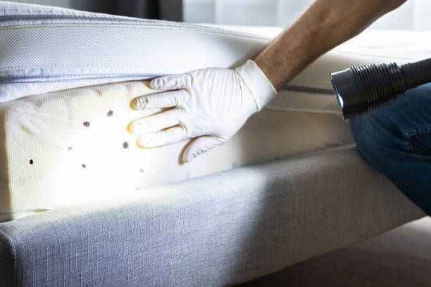 Pest Prevention Services in Cedar Grove, WI