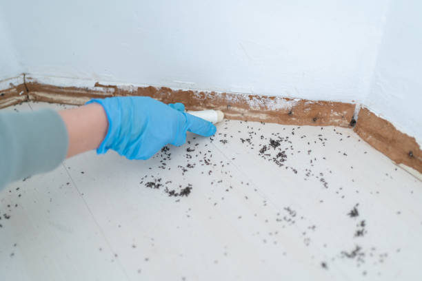 Best Best Pest Control Companies  in Cedar Grove, WI
