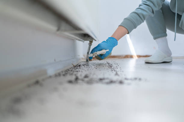Best Pest Control for Businesses  in Cedar Grove, WI