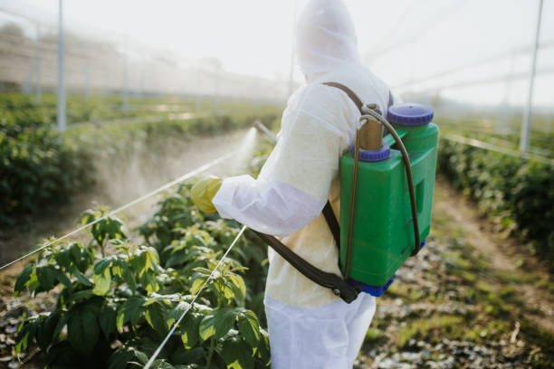 Best Commercial Pest Control Services  in Cedar Grove, WI